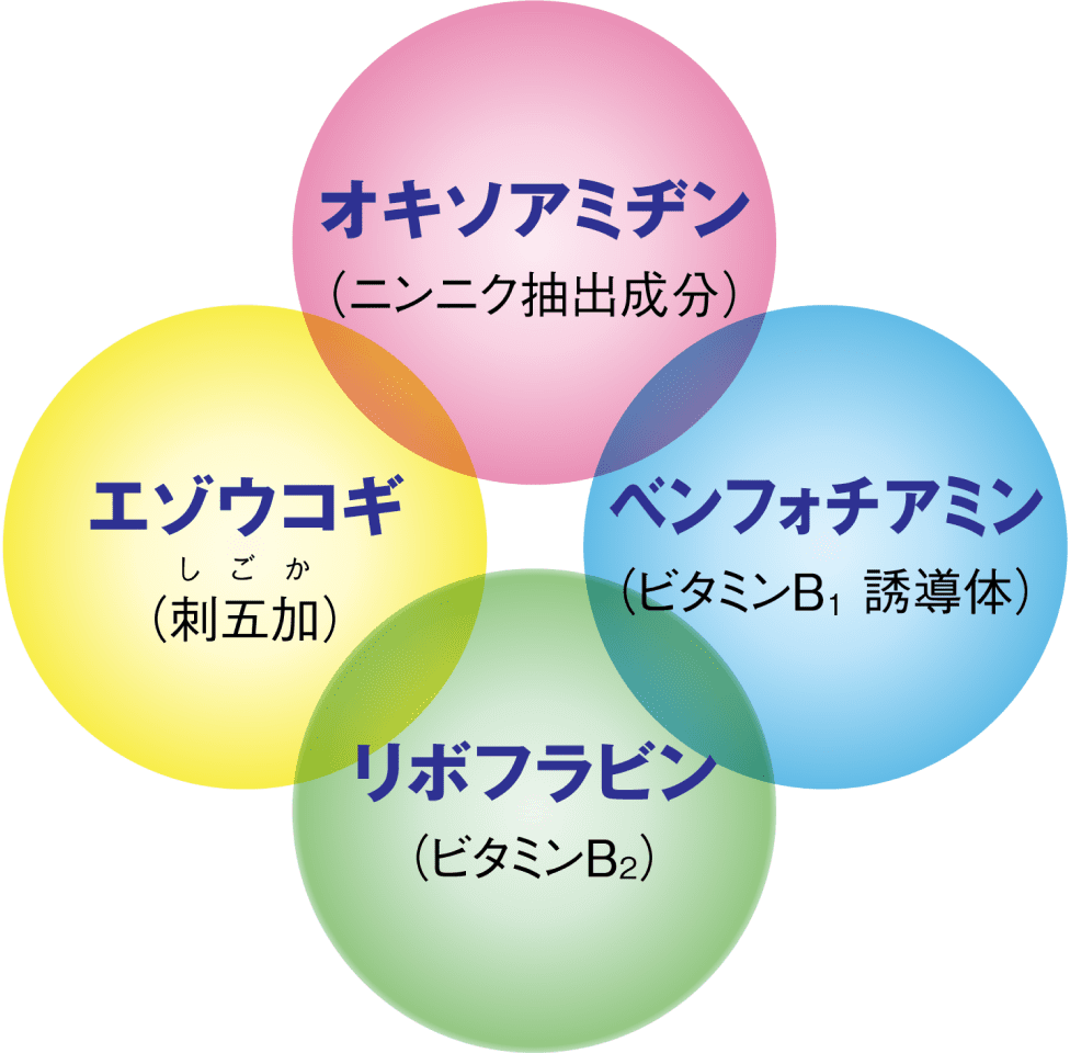 オキソアミヂン（ニンニク抽出成分）、エゾウコギ（刺五加）、ベンフォチアミン（ビタミンB1誘導体）、リボフラビン（ビタミンB2）