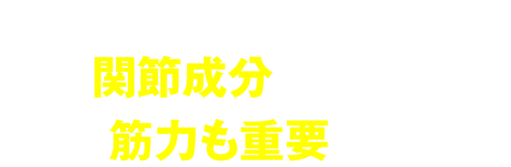 スムーズに快適に！力強く歩くには関節成分だけでなく筋力も重要です！