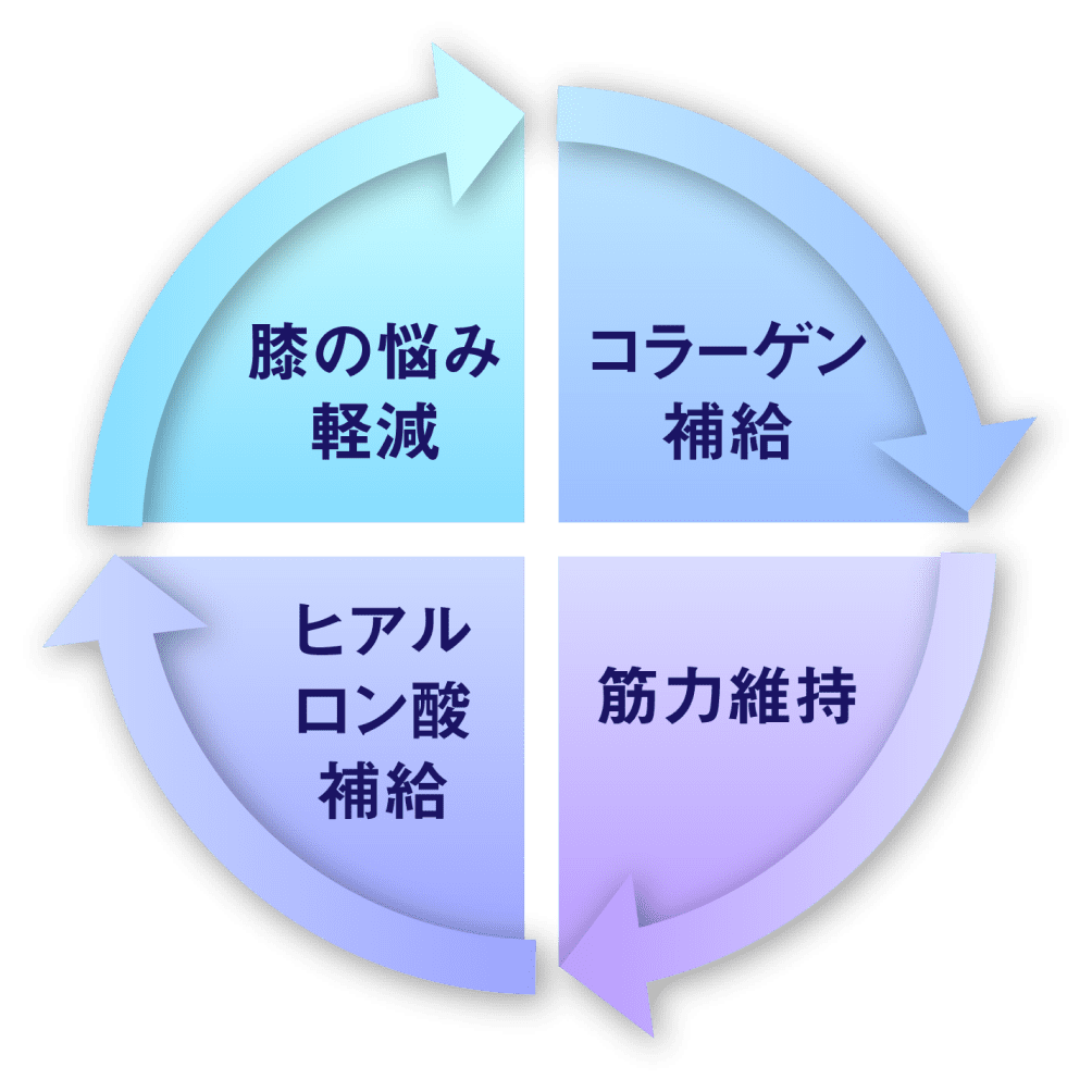 コラーゲン補給⇒筋力維持⇒ヒアルロン酸補給⇒膝の悩み軽減