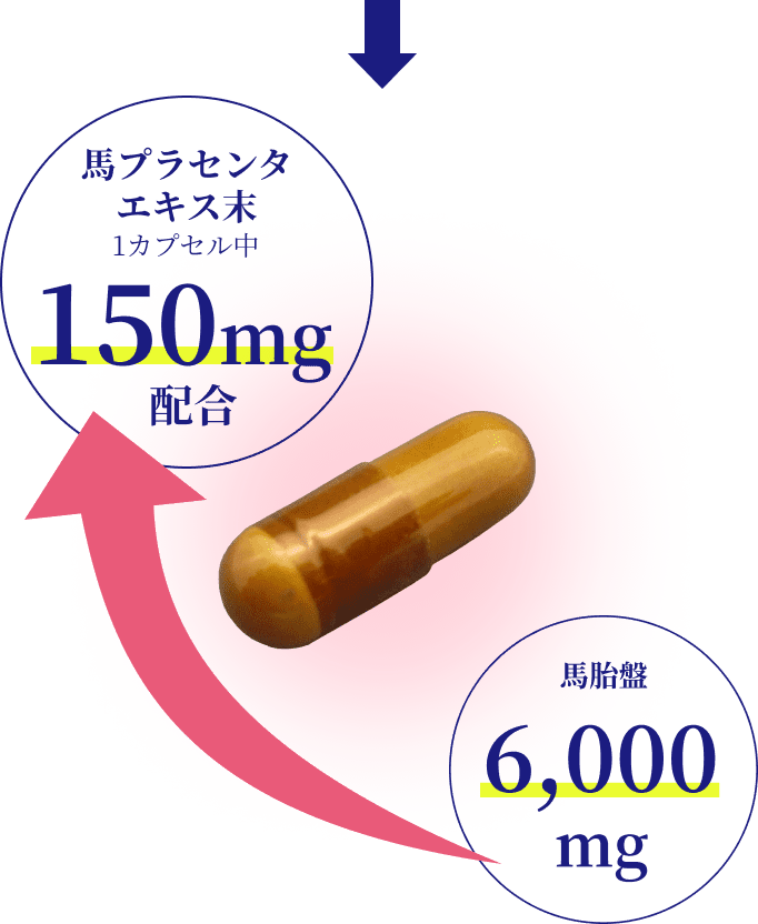 馬プラセンタエキス末150mg配合、馬胎盤6,000mg配合（1カプセル中）