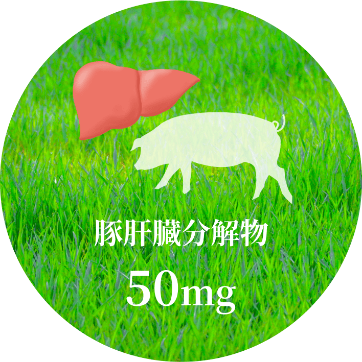 豚肝臓分解物 50mg