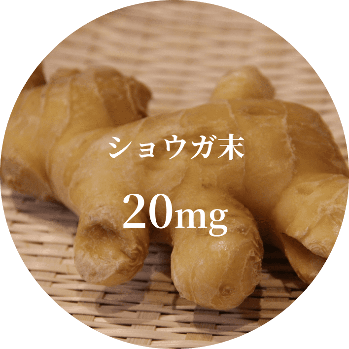 ショウガ末 20mg